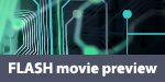 2MB Flash movie preview
