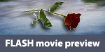 Flash movie preview