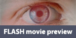 Flash movie preview